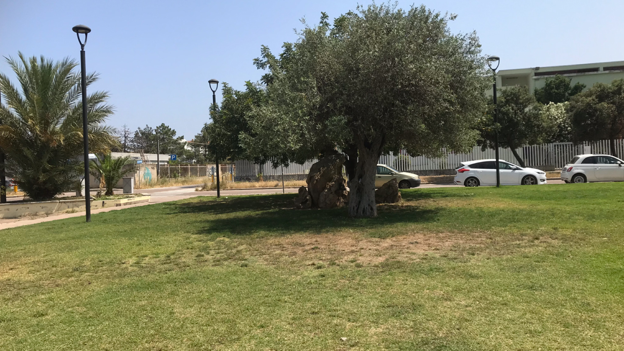 Olbia, il Comune patrocina Zeta Beer in piazza Martino Cossu