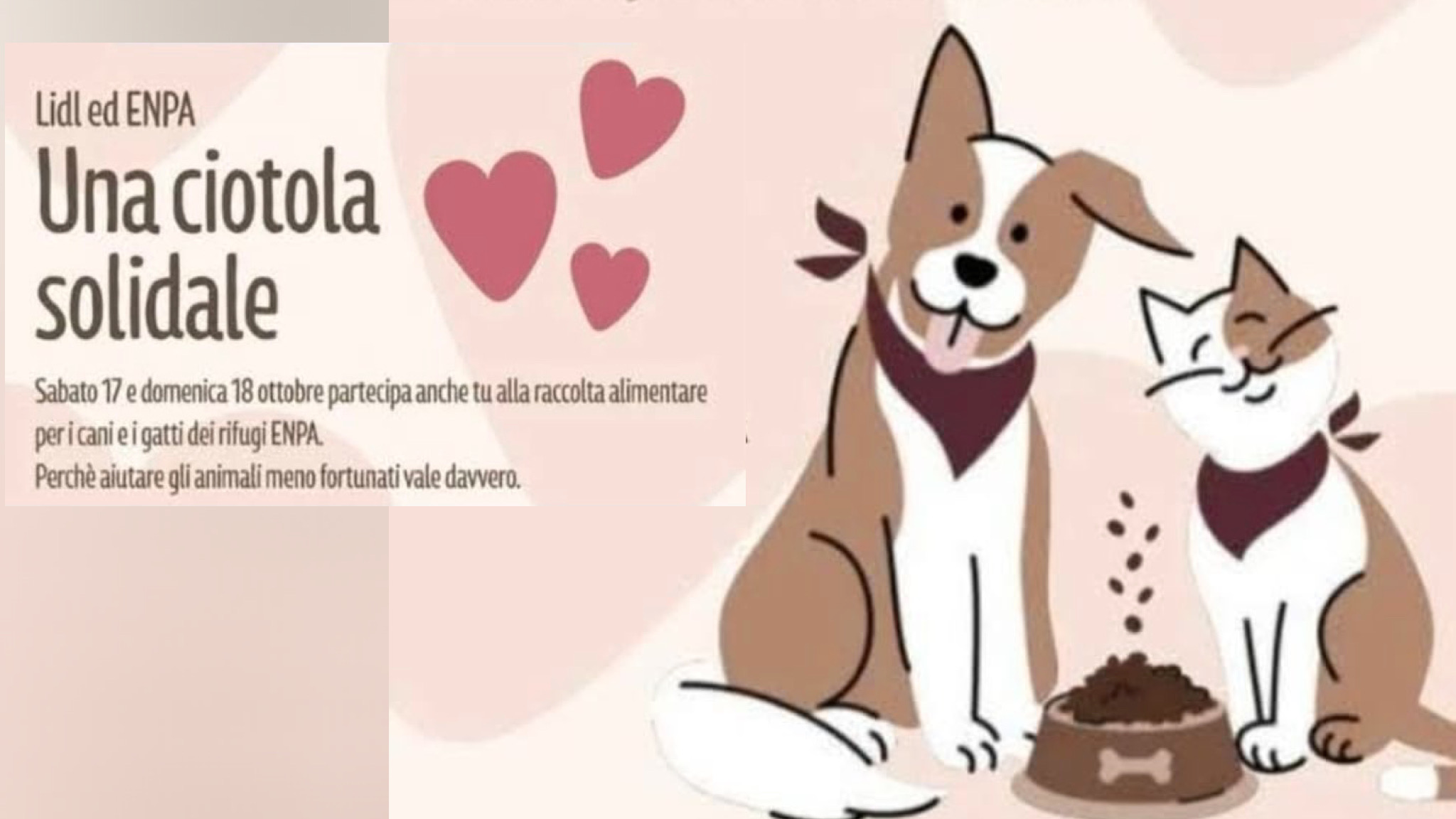 Olbia, ritorna “una ciotola solidale” promossa dall’Enpa