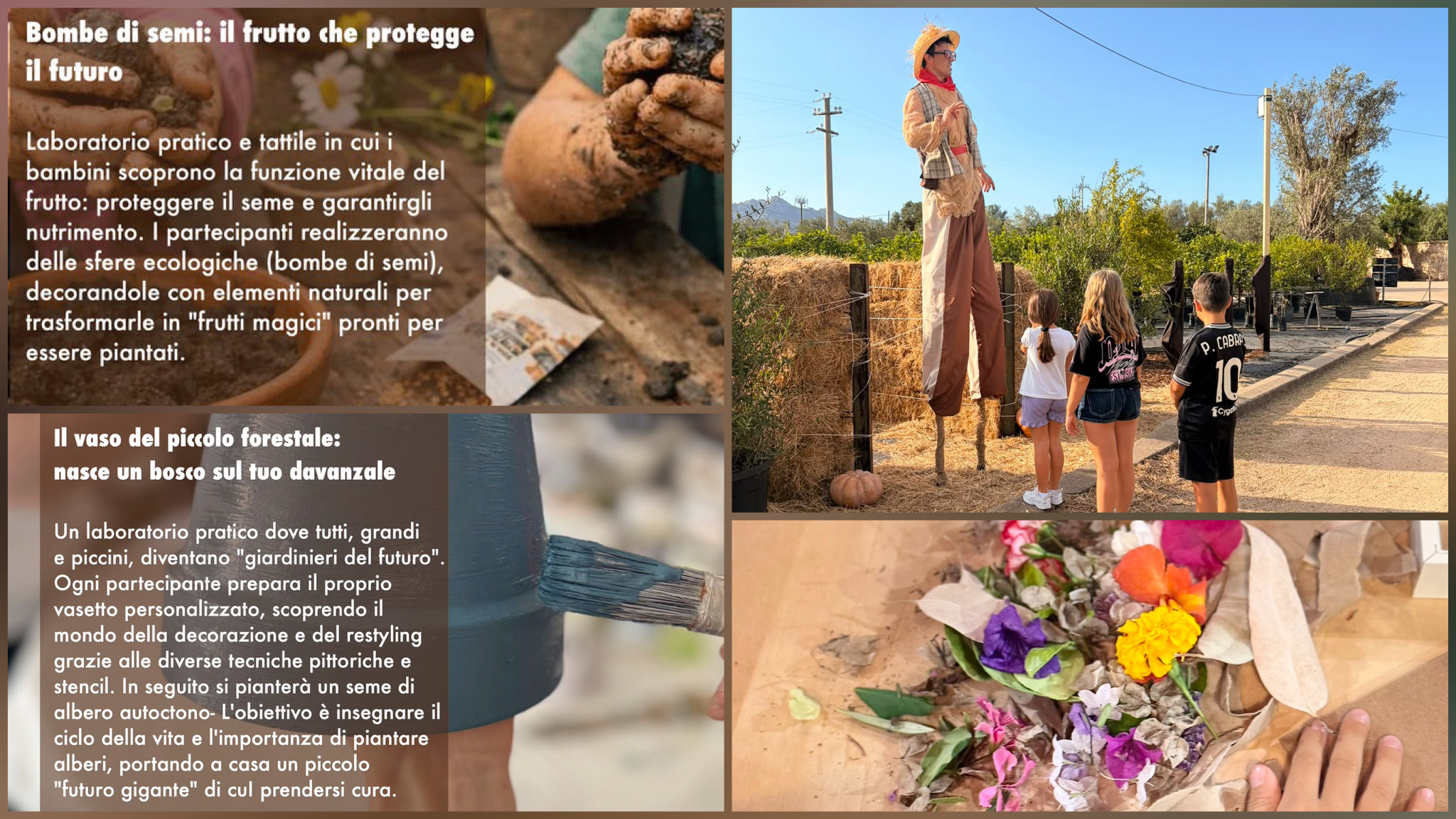 Arzachena, gran finale per il Garden Festival d’Autunno