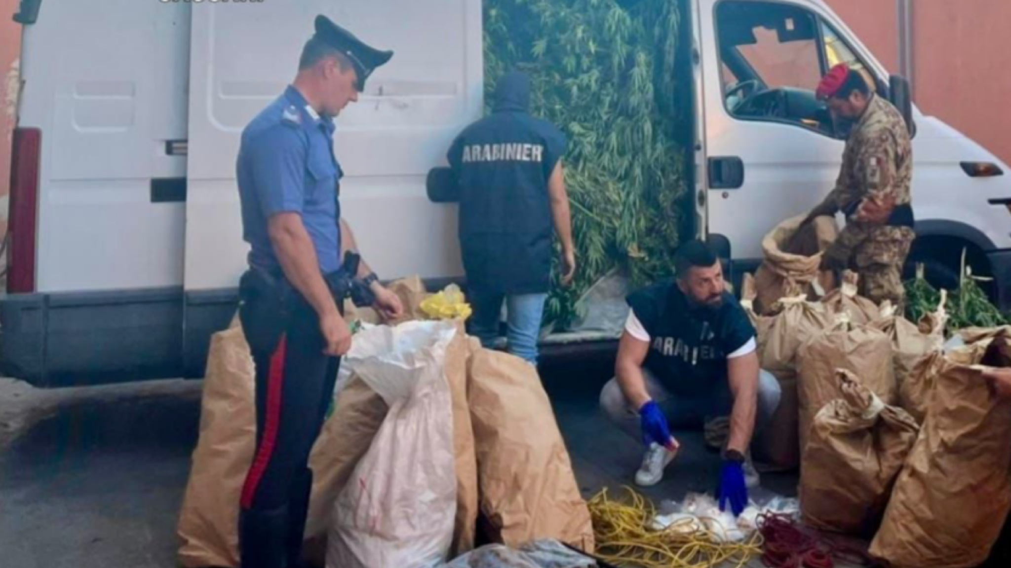 Arzachena, individuata maxi piantagione di marijuana: 2 arresti