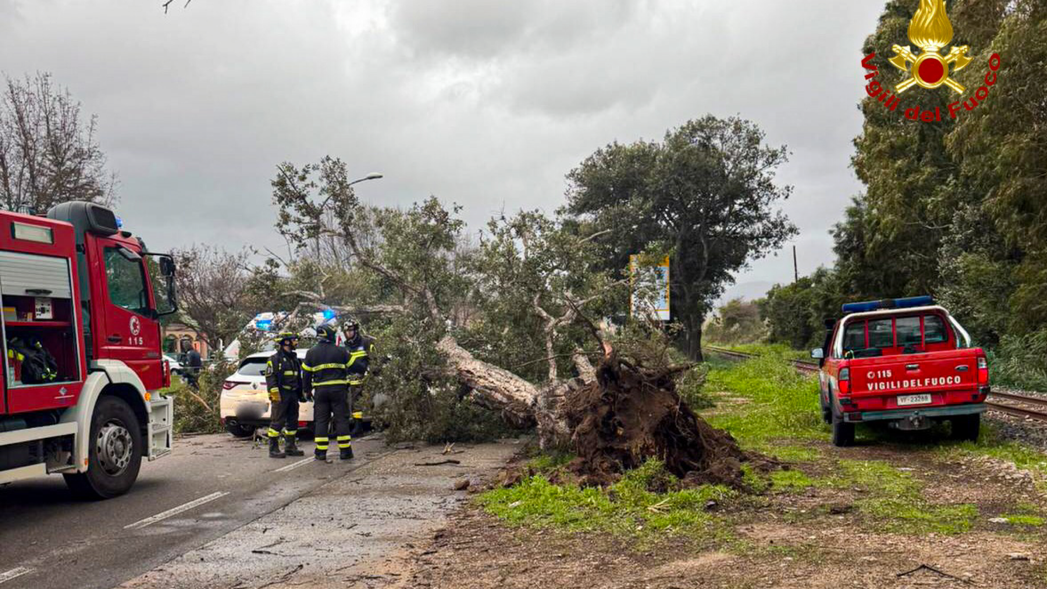 Albero sradicato dal vento cade su un auto in transito: feriti i due occupanti