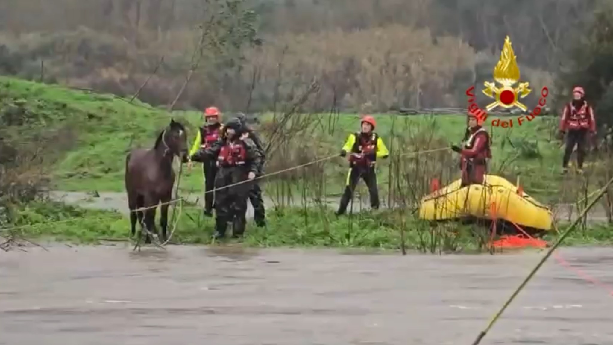 Vigili del fuoco impegnati in 130 interventi: salvati anche 3 cavalli