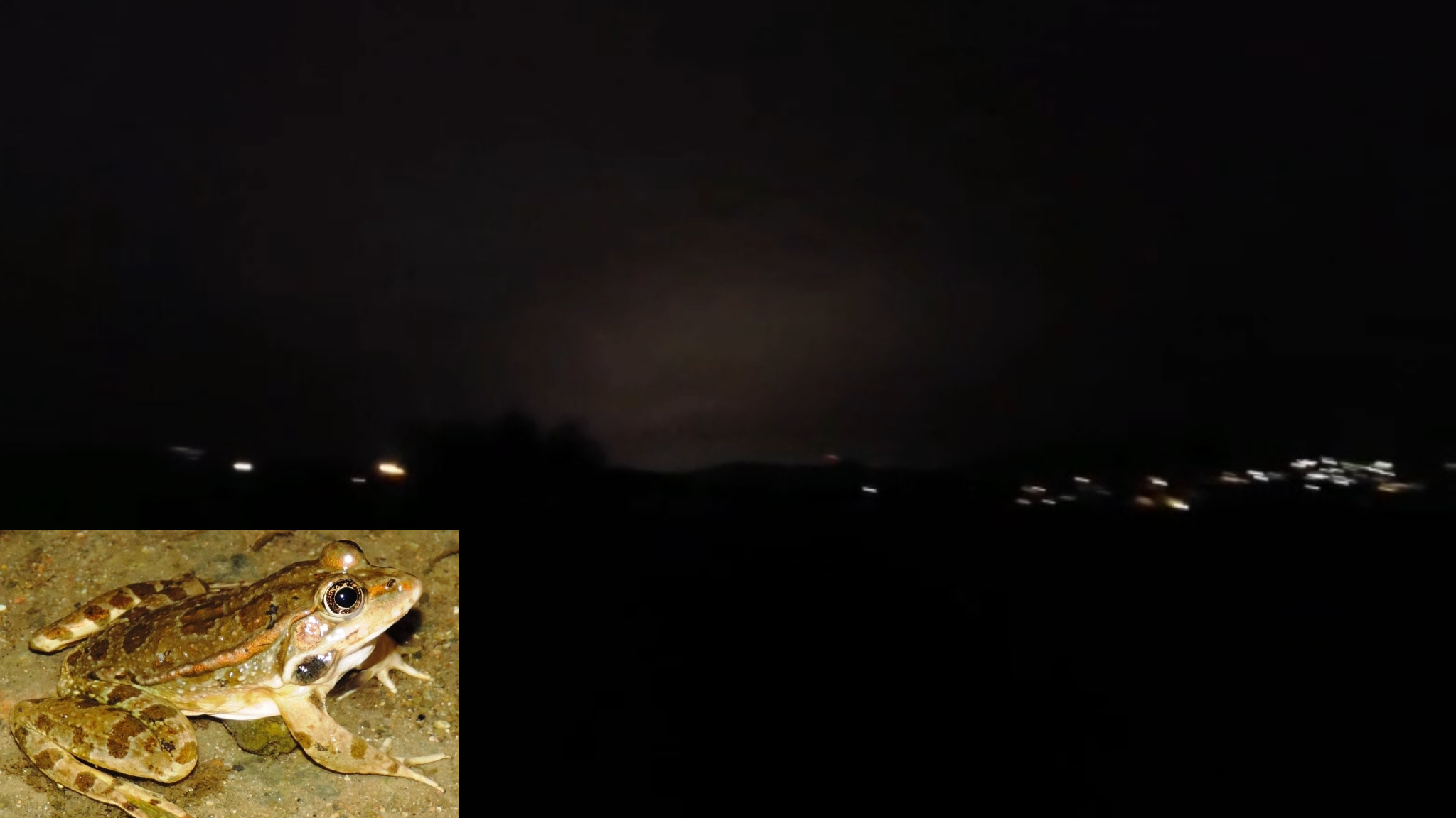 Costa Corallina: “concerto in cra minore”