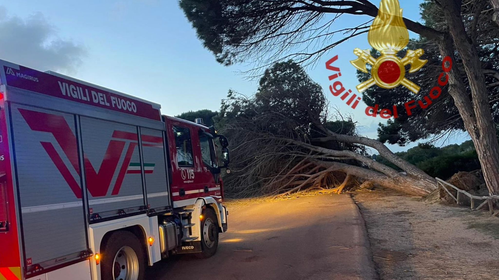 La Maddalena, venti forti: cadono grossi alberi, pali e insegne luminose