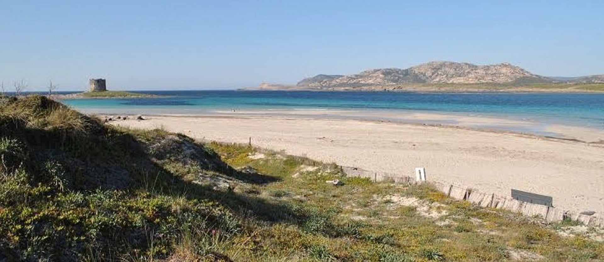 Nord Sardegna, attivo il sito per prenotare l'ingresso a La Pelosa