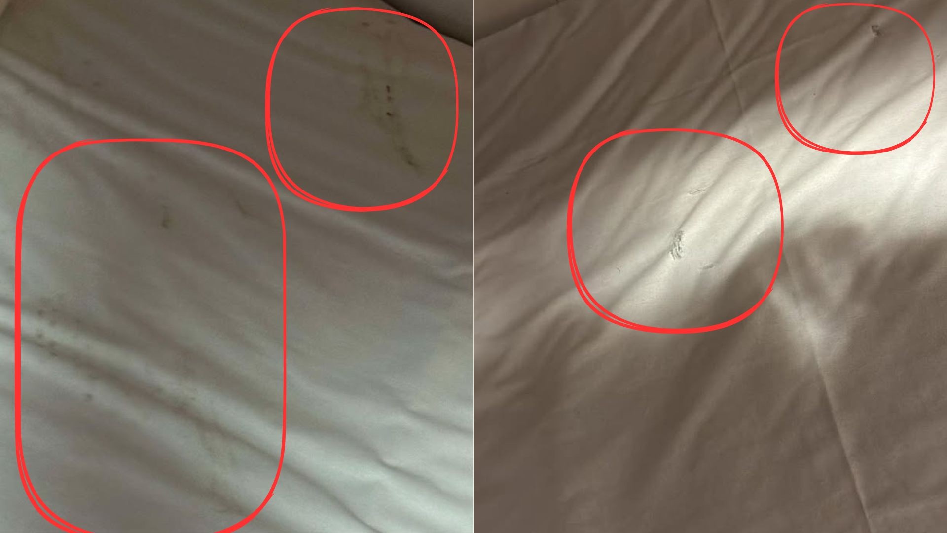 Olbia–Civitavecchia in nave, passeggero denuncia: “Lenzuola sporche e cabina inadeguata”