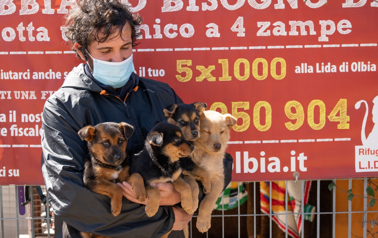Olbia, Progetto Fratelli Minori: 70 studenti alla scoperta del volontariato vicino ai cani abbandonati