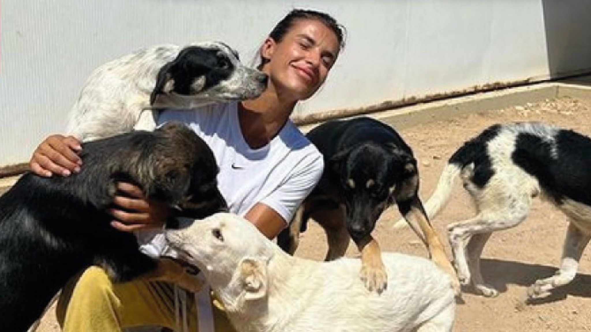 Olbia, al via l'operazione Leishmania free e no abbandono: Canalis madrina d'eccezione