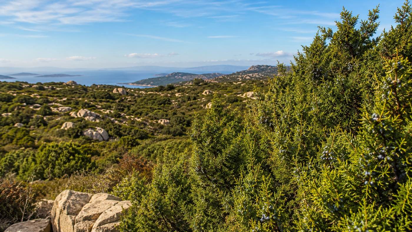 Il Governo Meloni manda avanti il progetto immobiliare di Cala Finanza