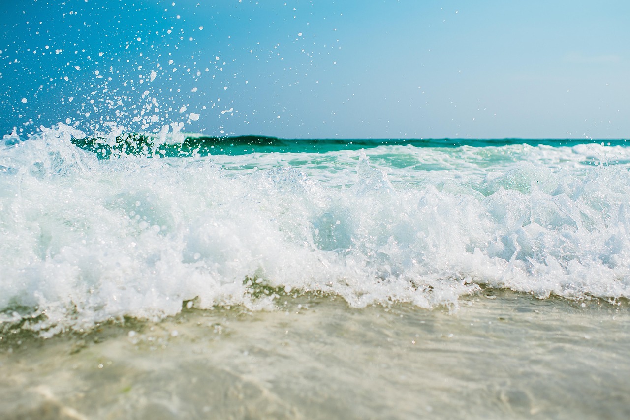 Olbia: chi protegge le dune delle nostre spiagge?