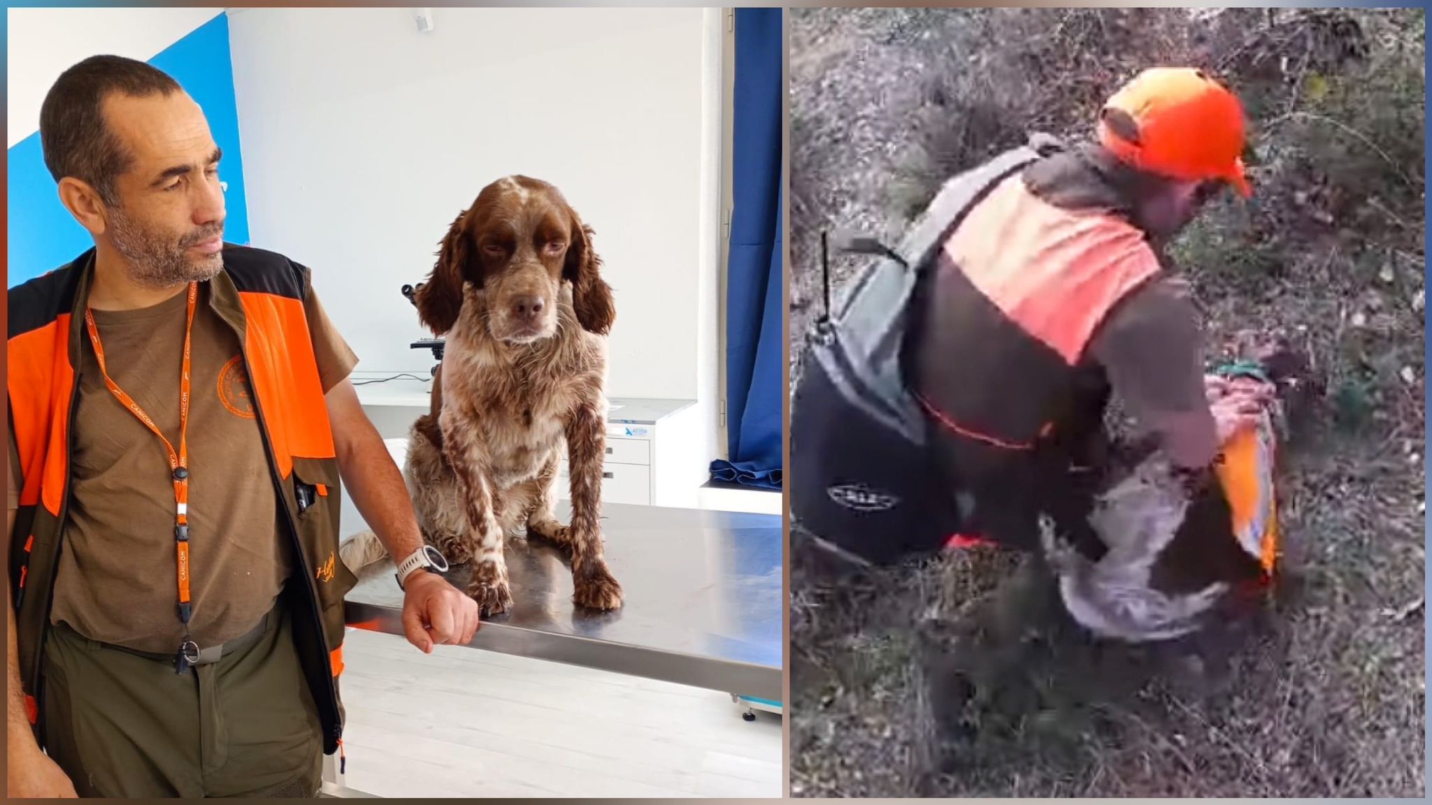 Marley, il cane ha un infarto: salvato dal suo padrone