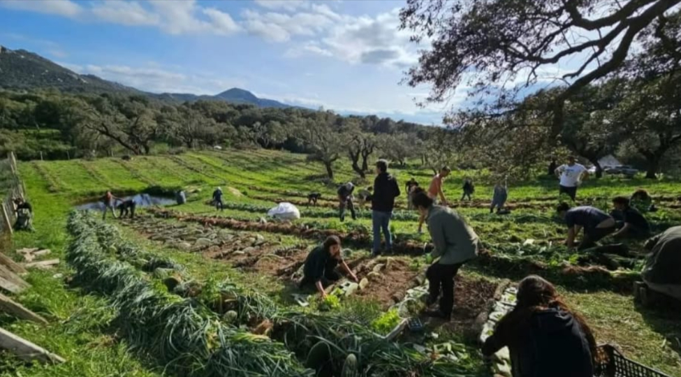 Dall'Australia a Berchidda: la rivoluzione 