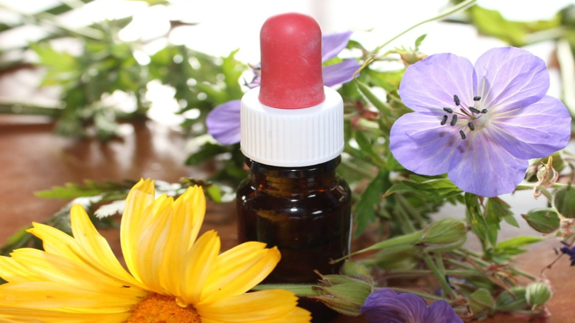 Dalle piante officinali sarde la cura per la xerostomia