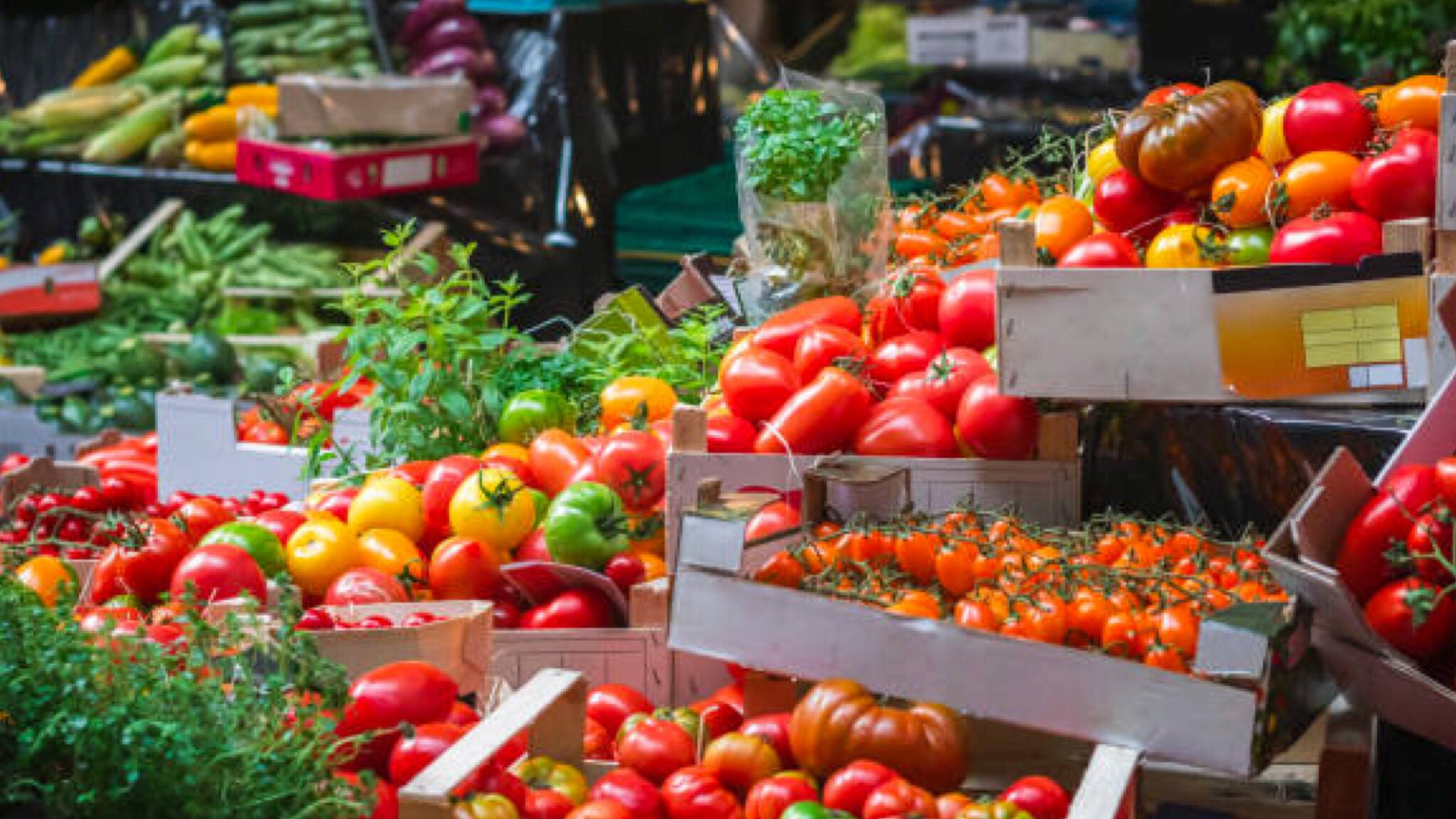 Olbia: mercatino del sabato sospeso per Giro d'Italia donne