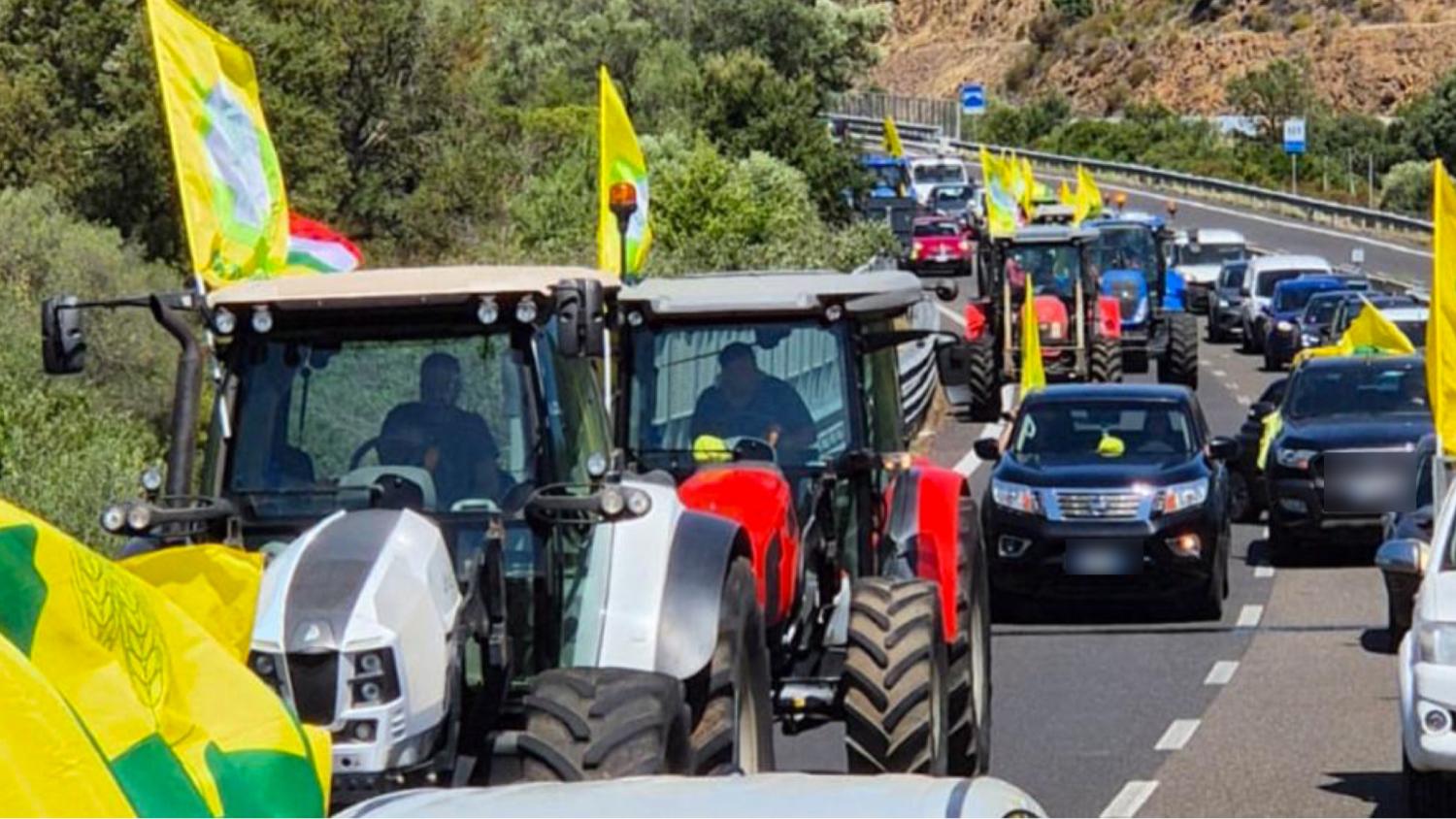 Mobilitazione Coldiretti Sardegna: agricoltori in prima linea contro la siccità