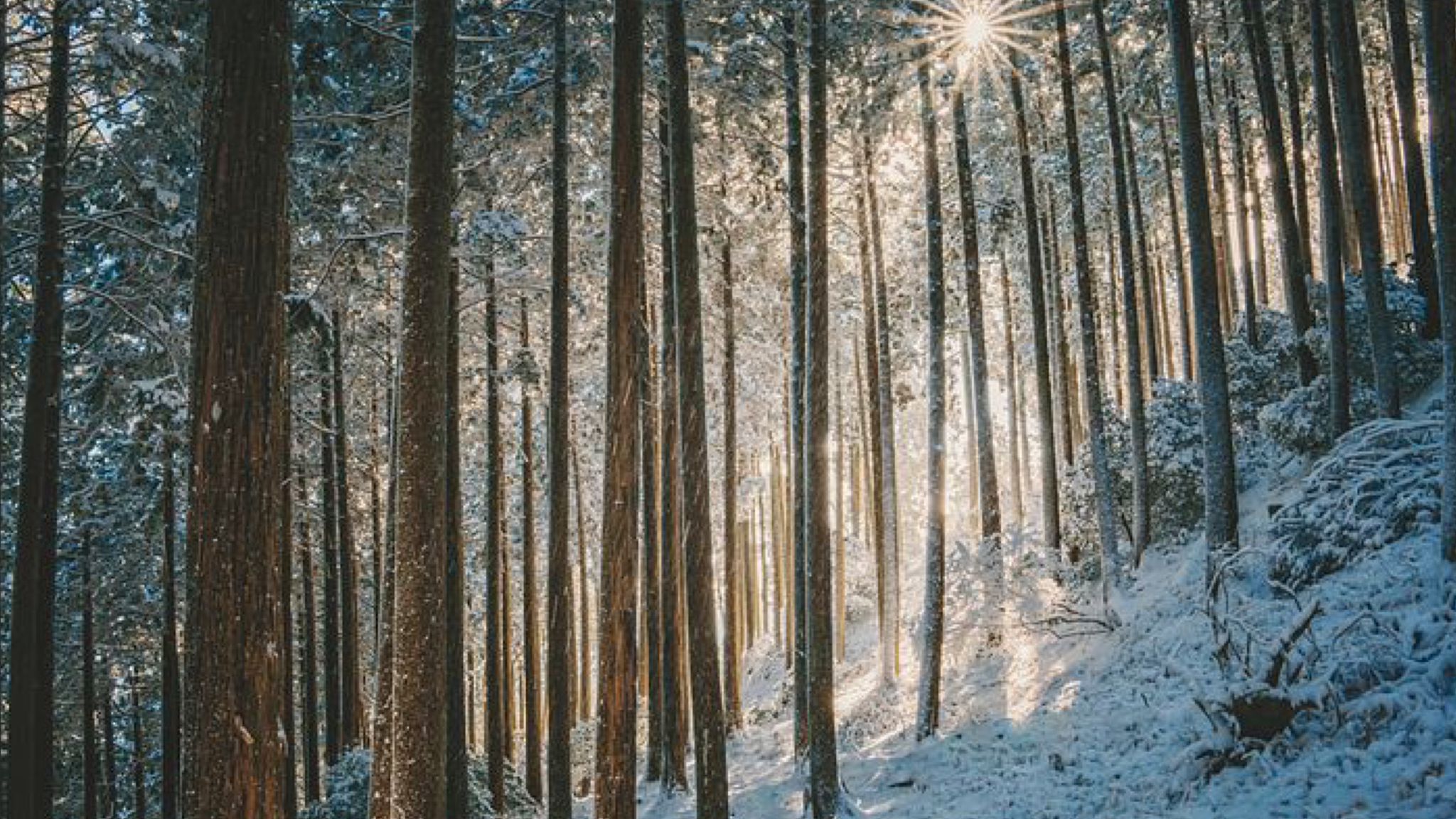 Prima neve in Sardegna