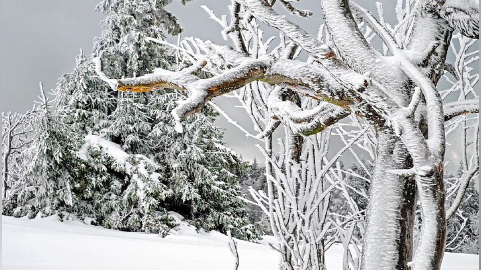 In Sardegna torna la neve