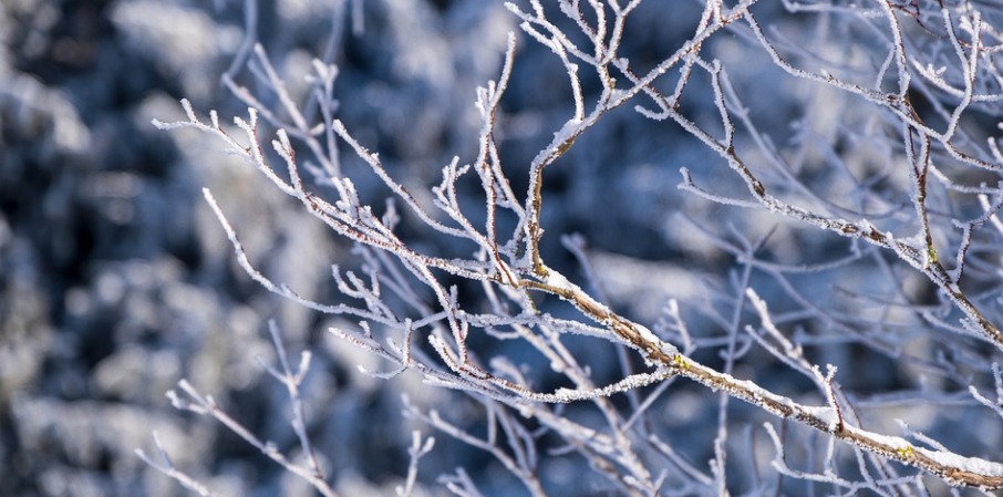 Arriva la primavera, ma in Sardegna nevica