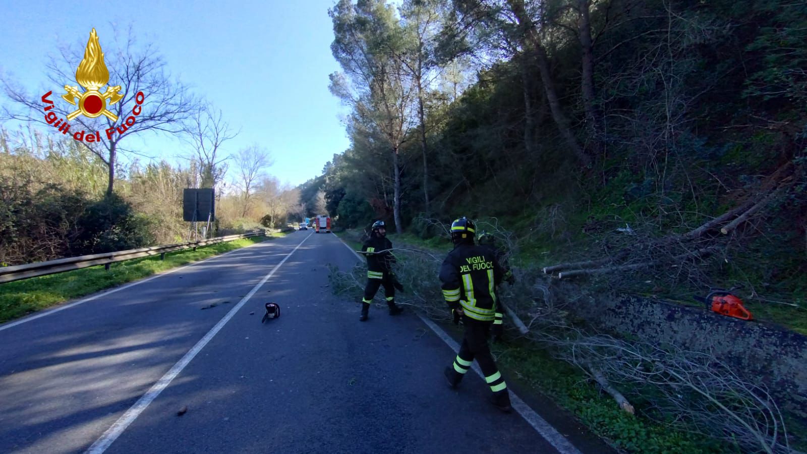 Vento fortissimo: decine di interventi dei Vigili del Fuoco, strade chiuse per alberi caduti