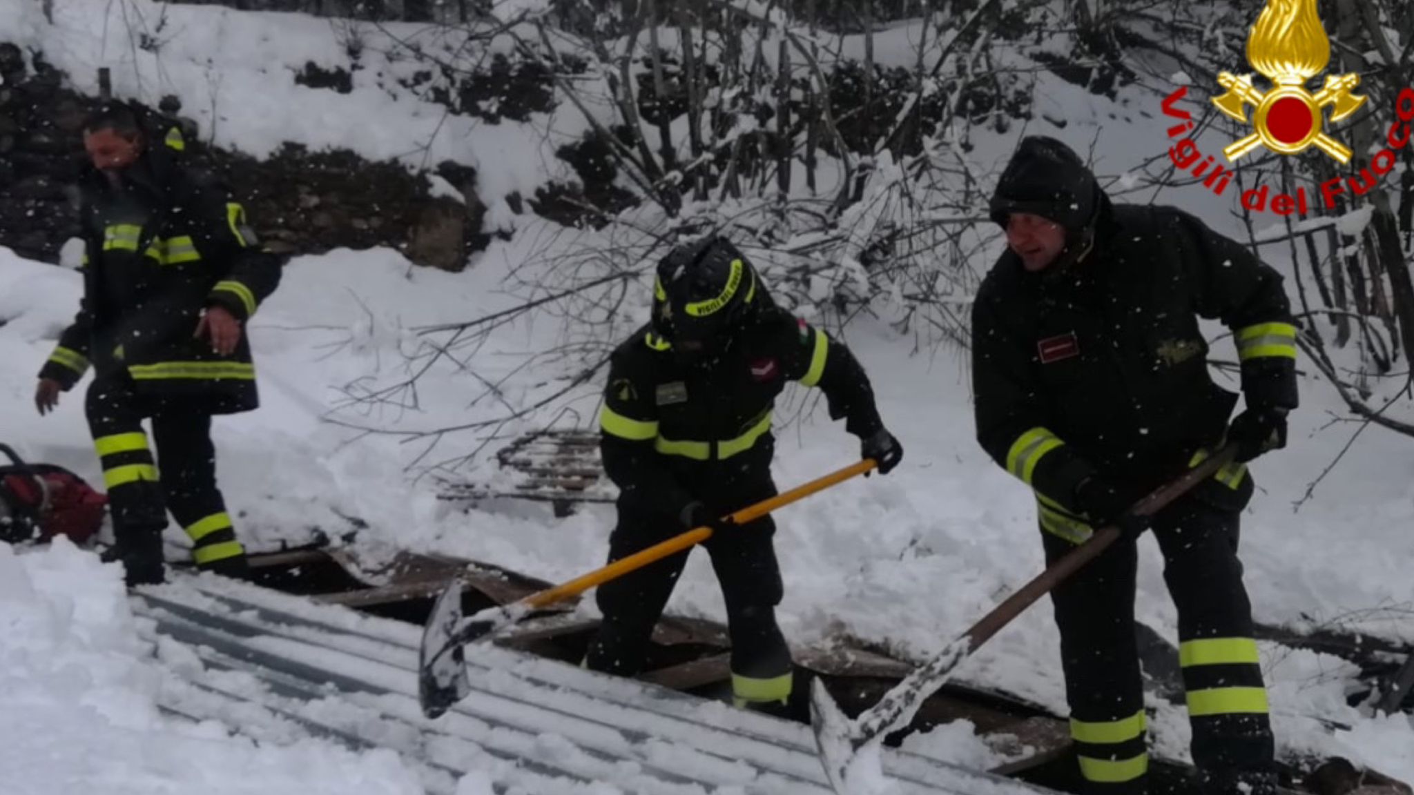 Troppa neve, crolla il tetto della stalla: muore un asino