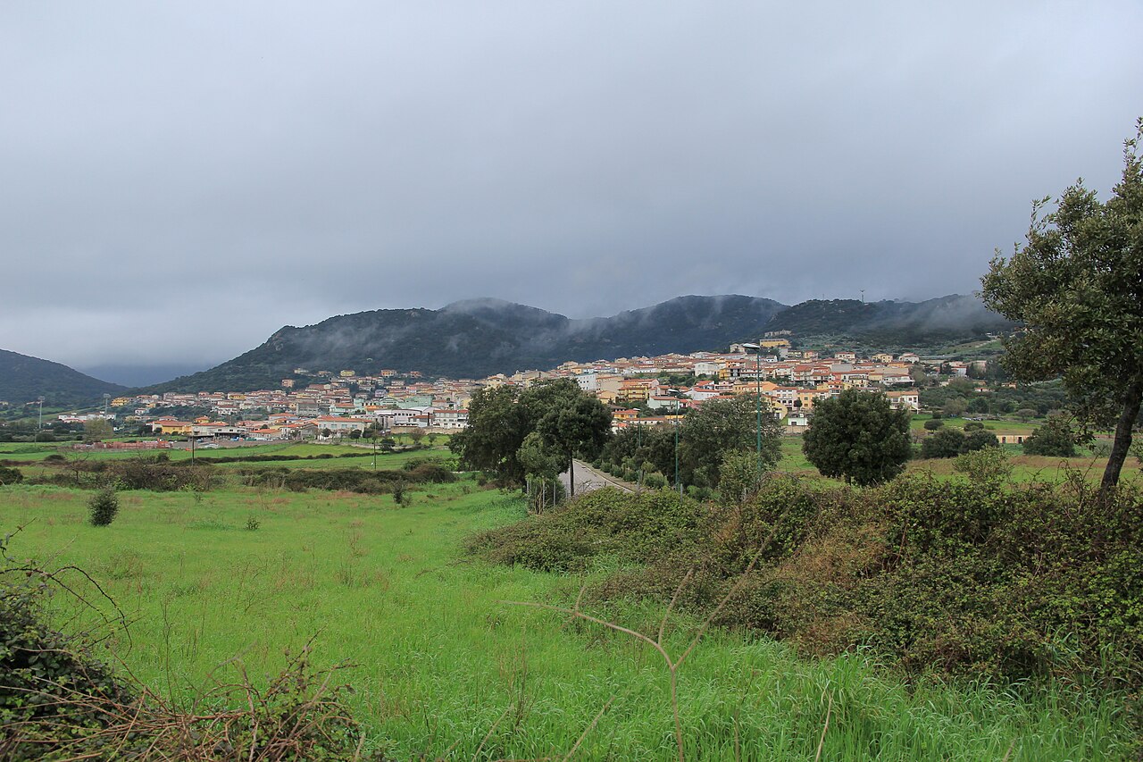 Berchidda, l’Oleificio Gallura triplica la produzione rispetto al 2025