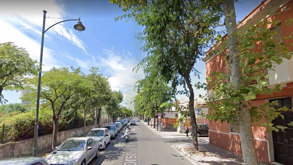 Olbia: addio a 2 betulle di Corso Vittorio Veneto