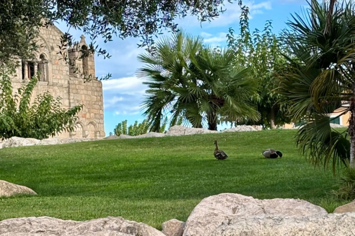 Olbia, via libera agli eventi collaterali del Romanico a San Simplicio