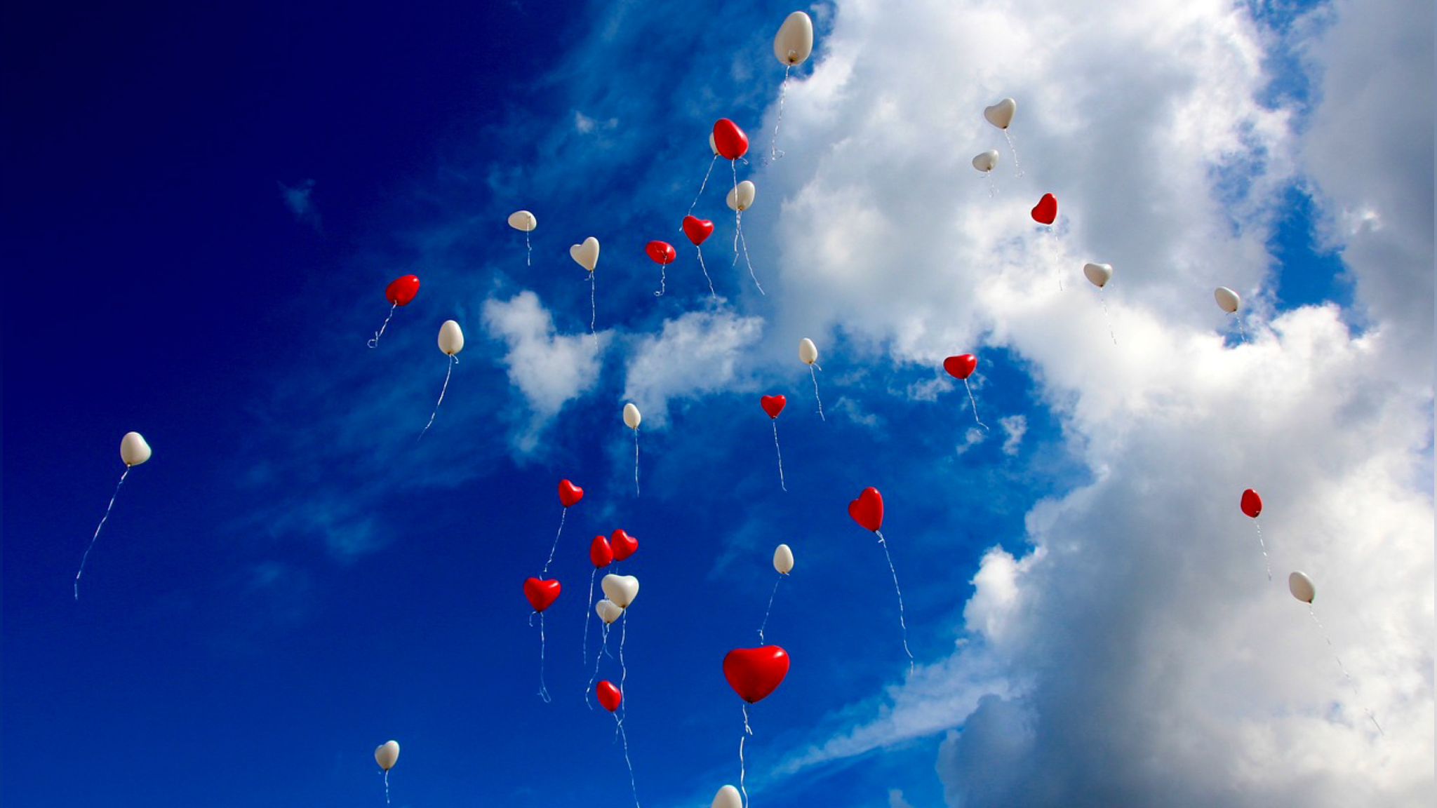 Olbia, tutela dell'ambiente: stop ai palloncini in volo