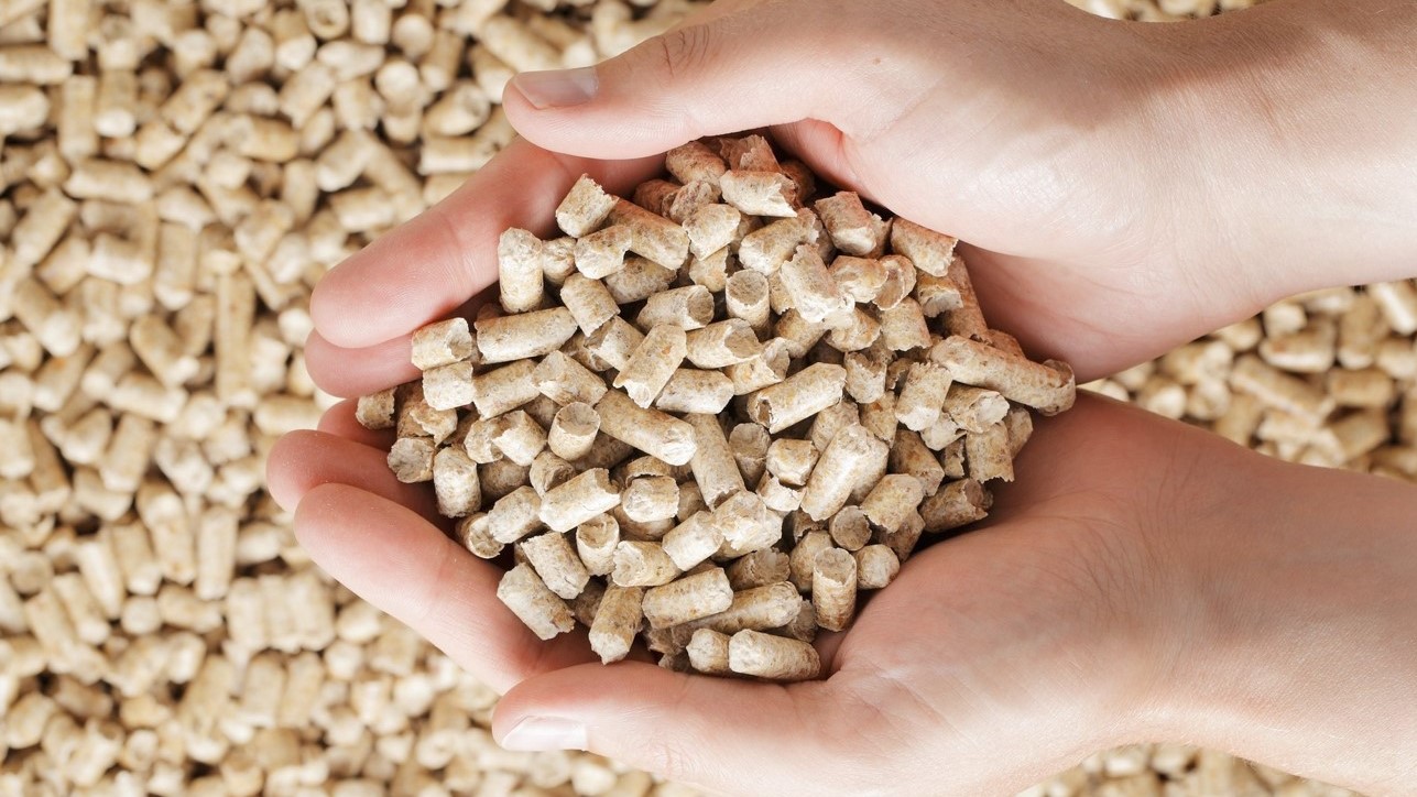 Pronti ad essere venduti in Sardegna: sequestrate 81 tonnellate di pellet, una denuncia