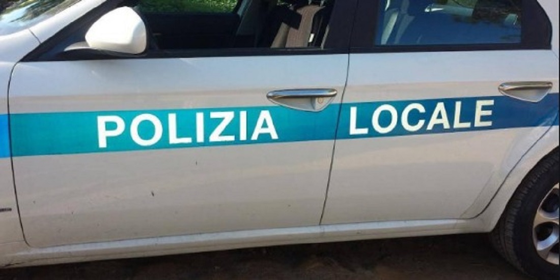 Nord Sardegna, investe un cane e fugge: indaga la Polizia locale