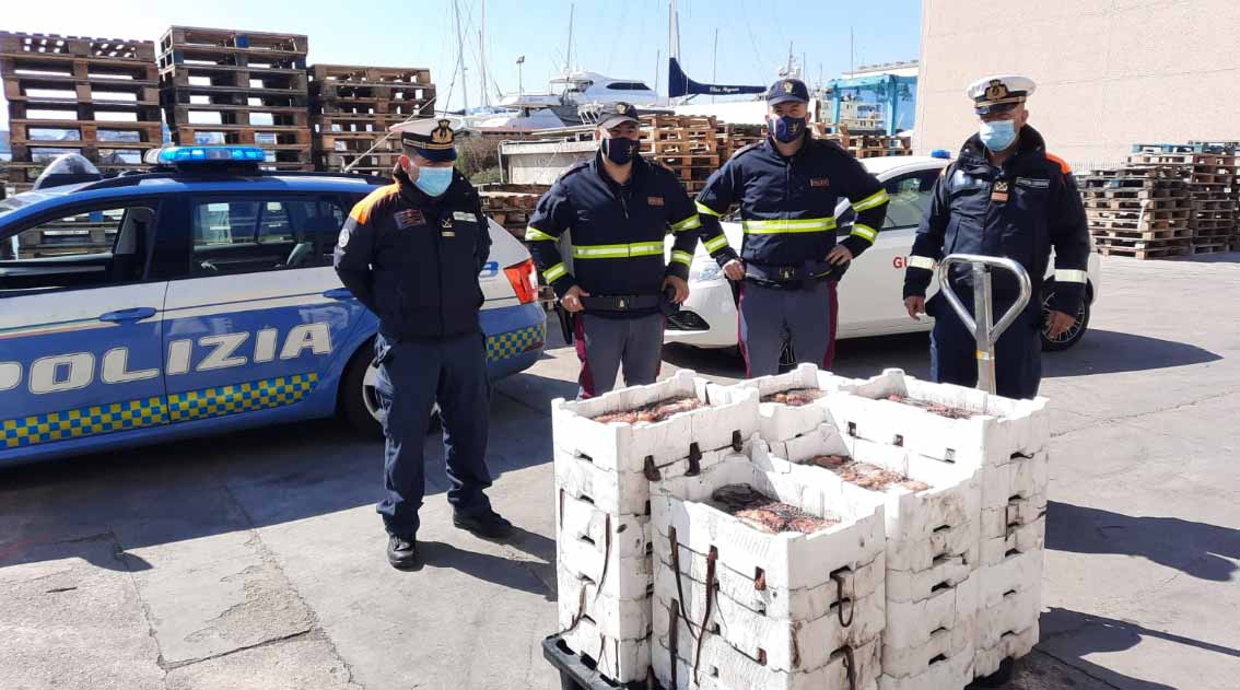 Olbia, pesca abusiva: 150 kg di pesce sequestrato
