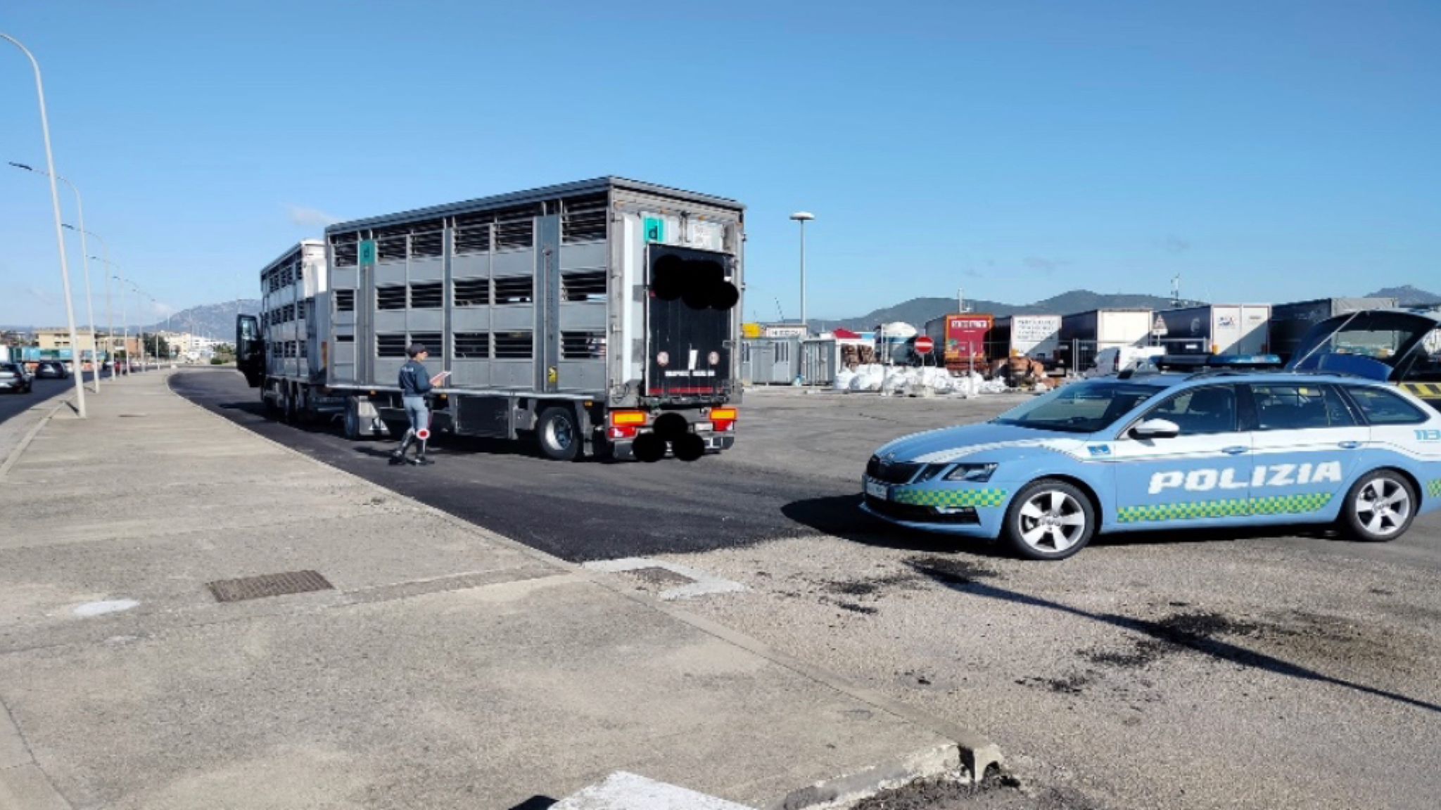 Olbia, controlli su trasporti animali vivi e alimentari: sanzioni per oltre 13 mila euro