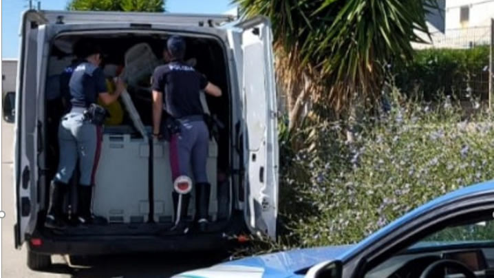 Olbia, trasportava 100 kg di surgelati in mezzo non idoneo: fermato dalla Polizia  