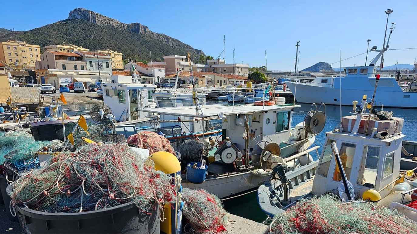 Golfo Aranci, il Comune incontra i pescatori: sul tavolo criticità e possibili soluzioni