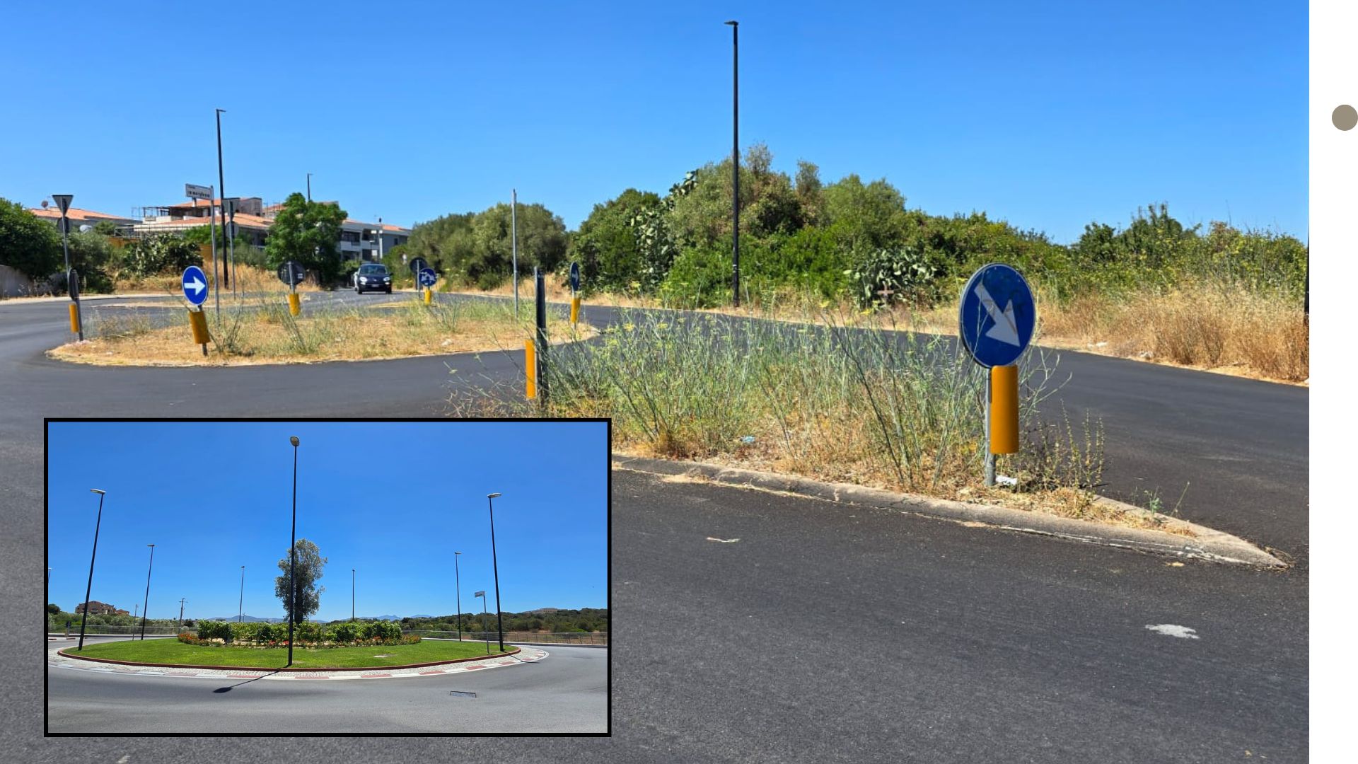 Olbia, verde urbano a due velocità: la vite del Vermentino e il finocchietto di Sa murighessa