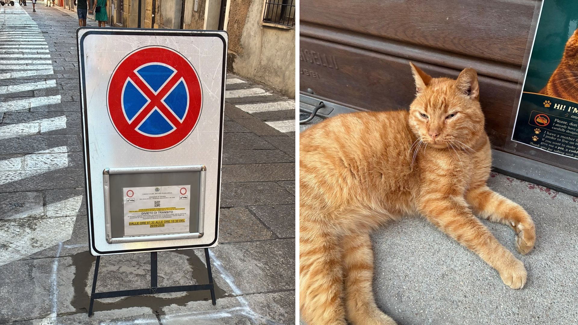 Olbia, non c’è pace per Beethoven: investita la mascotte del centro storico