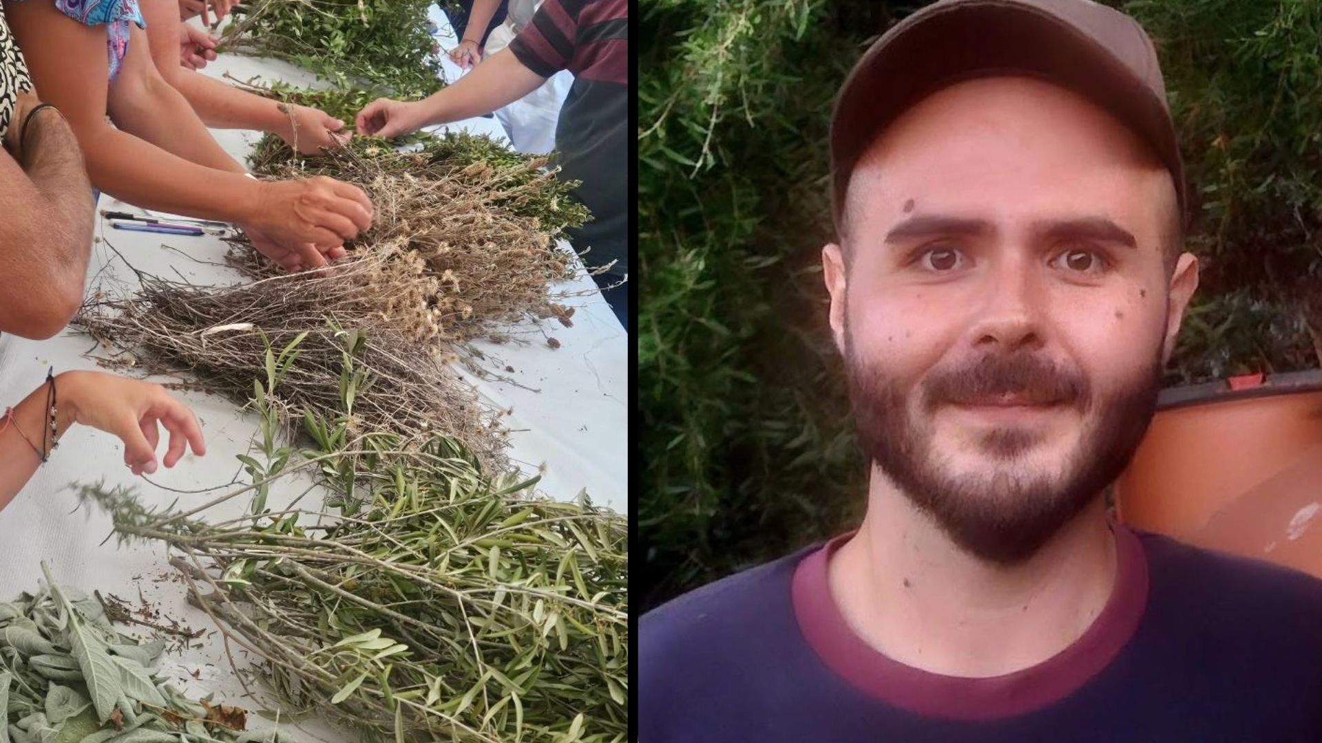  A Olbia l’alchimia delle erbe: il botanico Gianfranco Deledda racconta il Festival Erbas