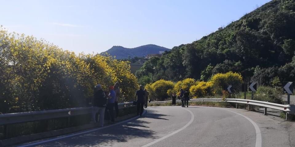 San Teodoro in Fiore: ecco la raccolta delle ginestre per l'evento 