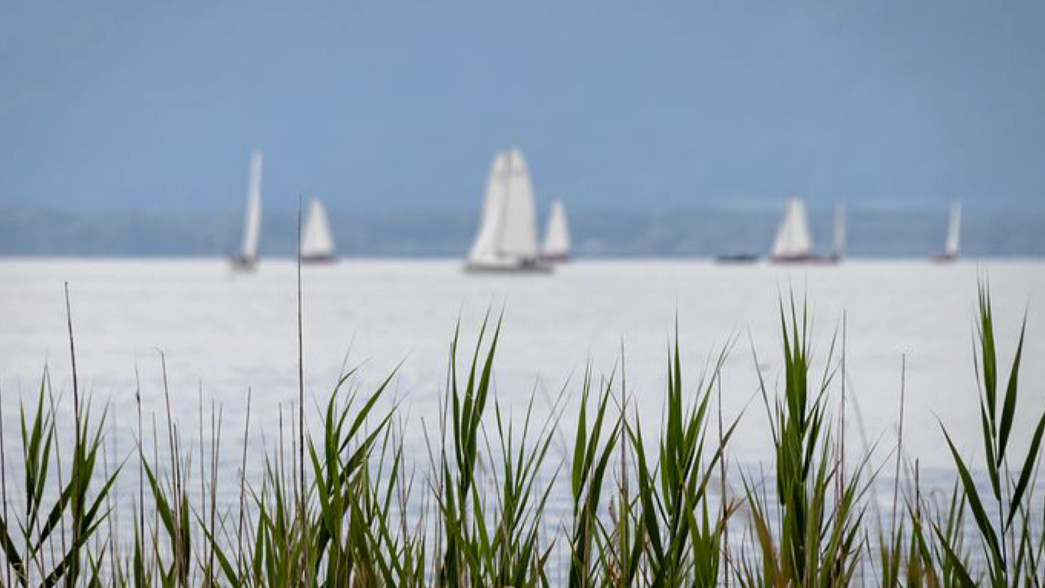 Olbia: via al “J24 Campionato Zonale, Regata Nazionale” a Porto Rotondo