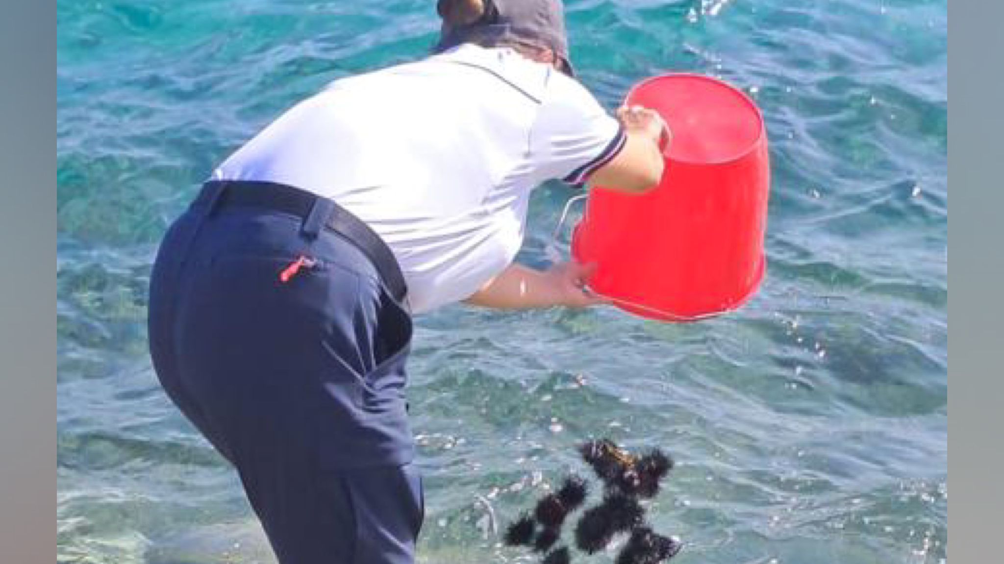 Golfo Aranci, turista pesca ricci: sequestro e sanzione