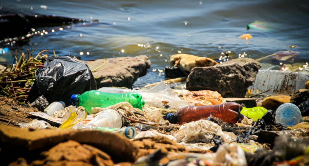 Gallura, il mare dopo la tempesta: tonnellate di rifiuti plastici sui litorali 