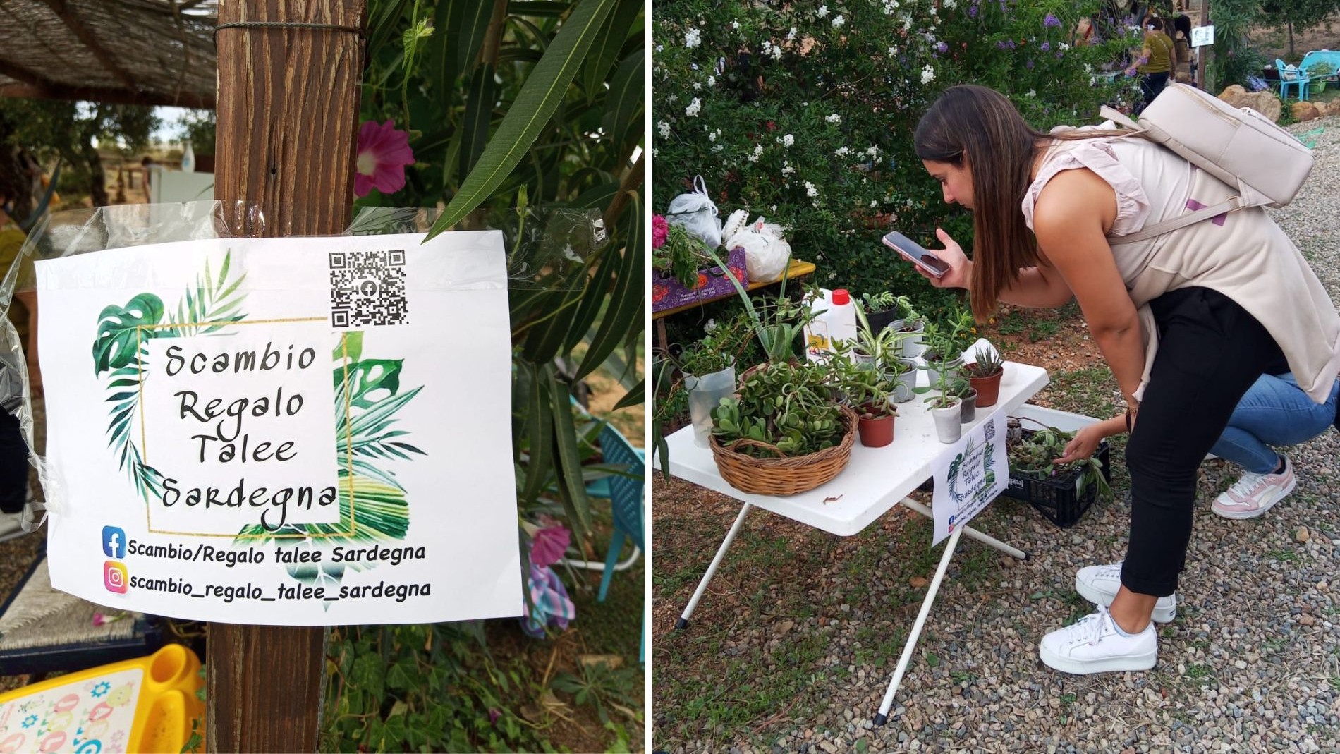 Olbia, arriva “il giardino itinerante”: lo scambio di piante che unisce la Sardegna