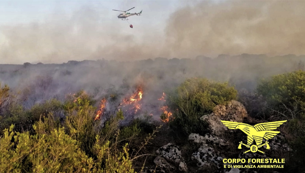 Olbia e Gallura: oggi pericolo incendi alto