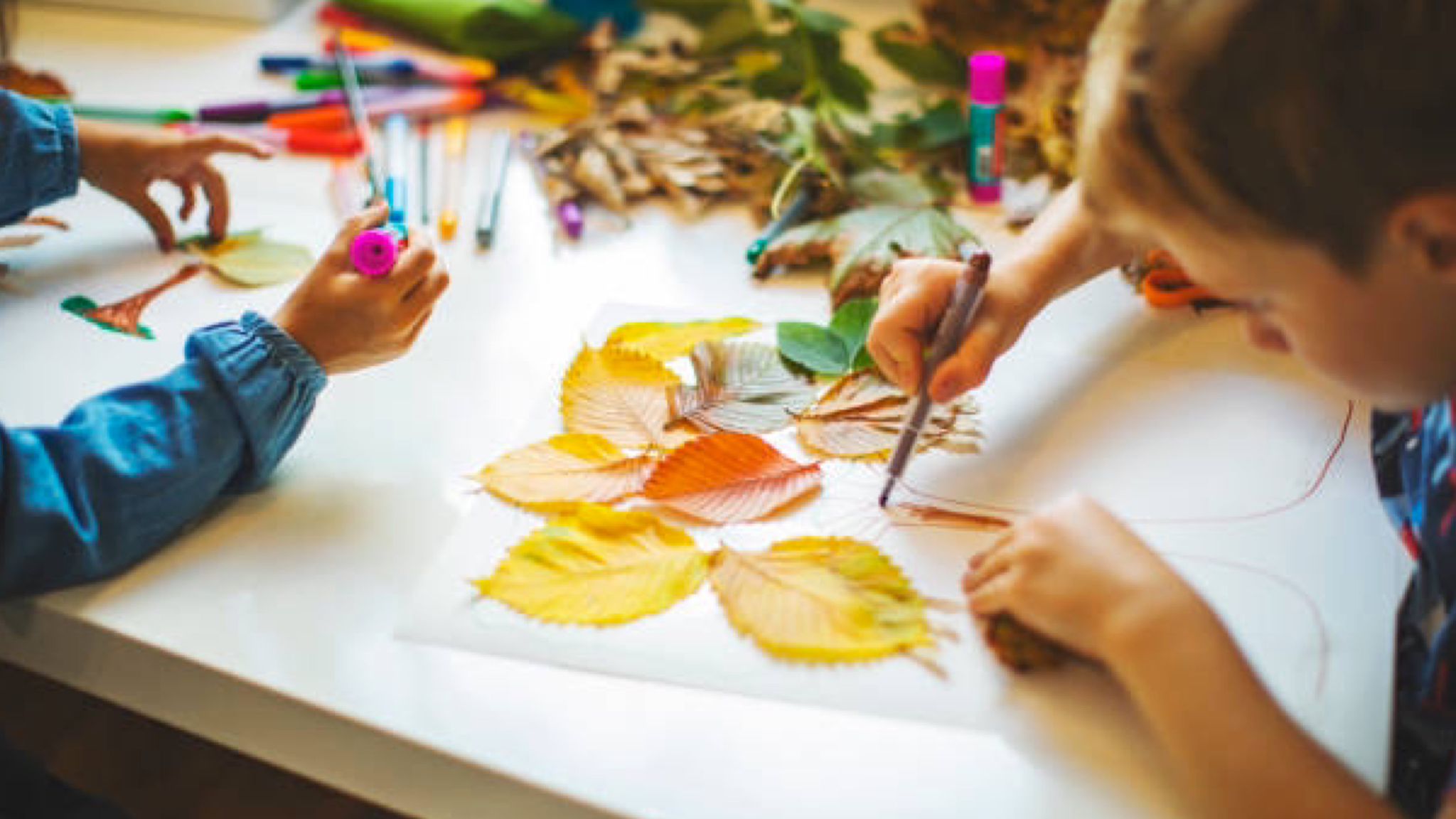 Olbia: open day scuole primo circolo