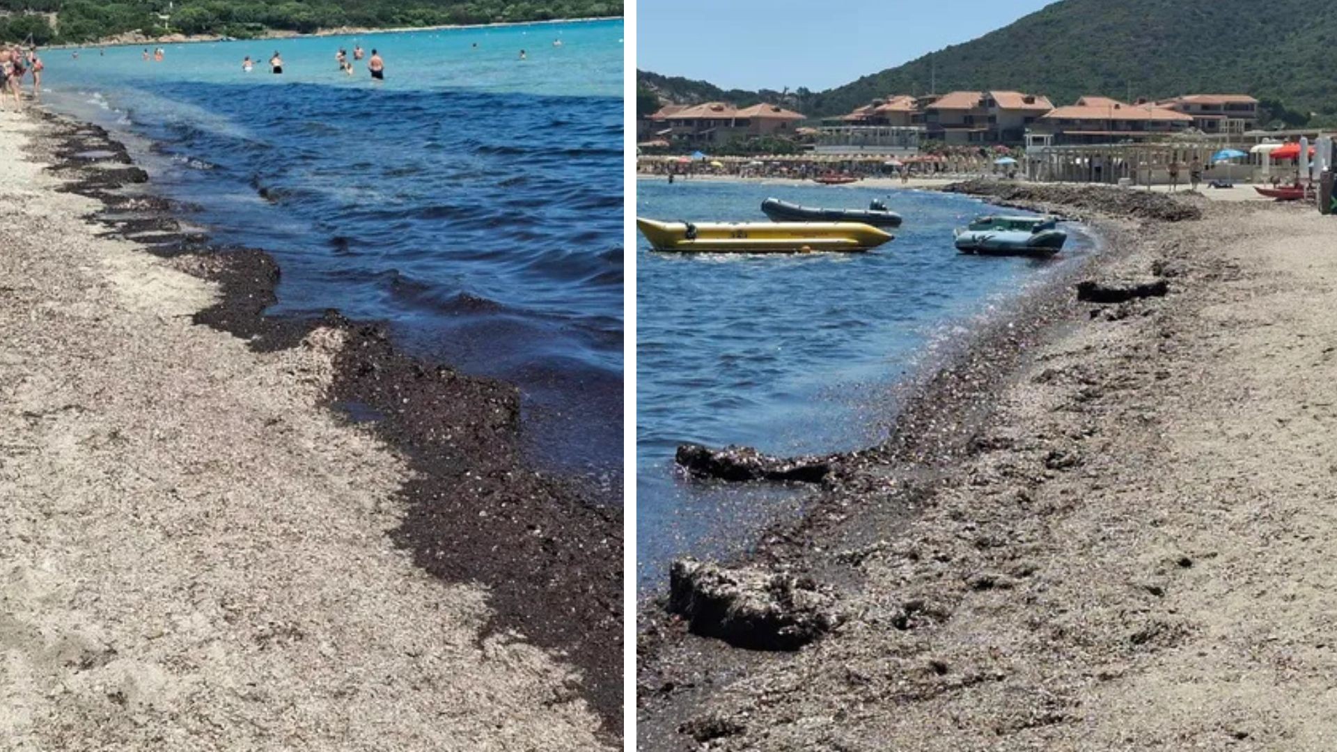 Olbia, arenile di Marinella invaso dalla posidonia: 