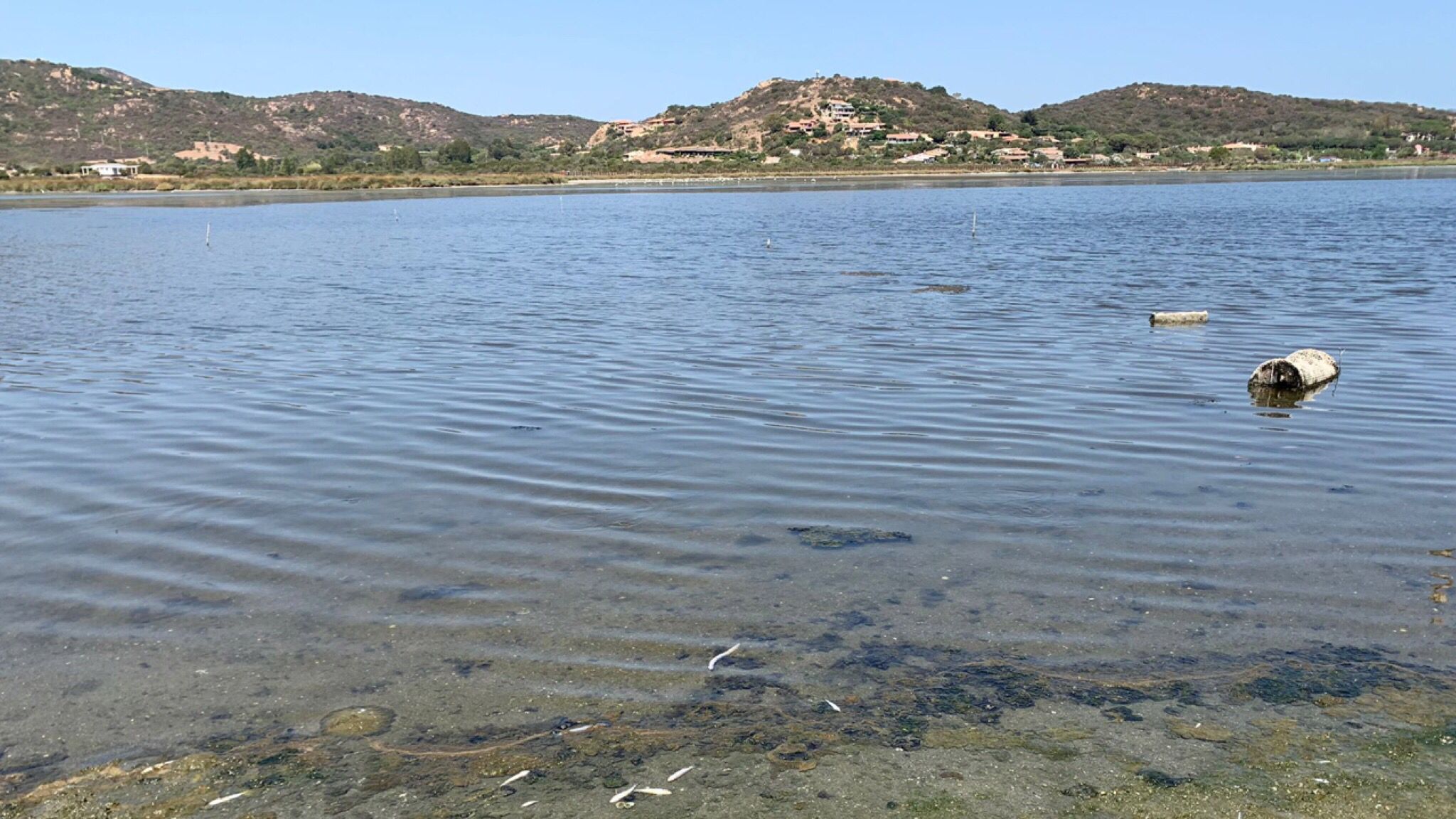 Loiri Porto San Paolo. Li Gioi: 