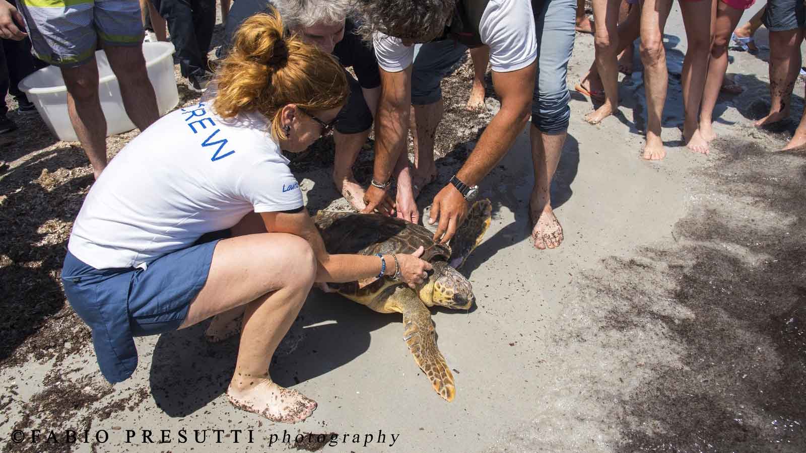 La Maddalena: Lady Wolf è stata liberata