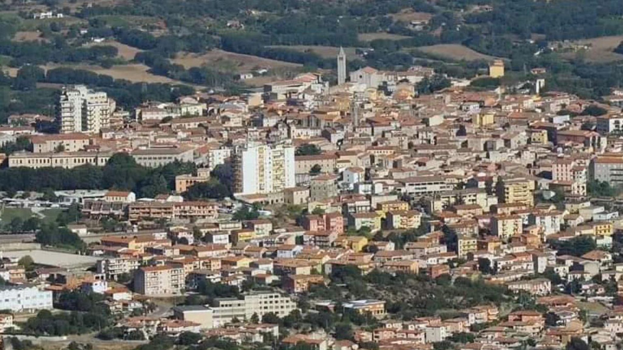 Orrore a Tempio: cagnolina uccisa a fucilate