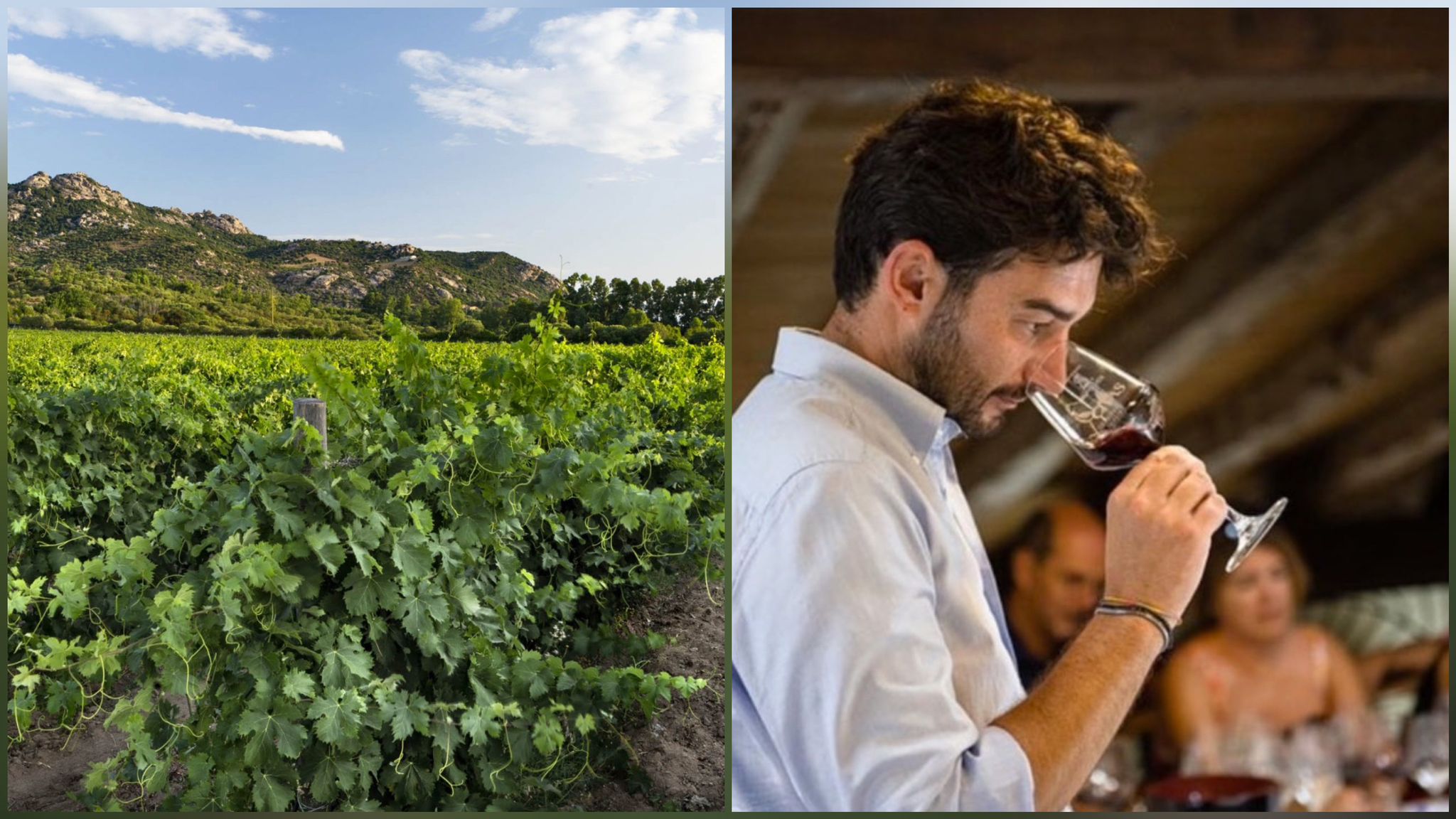 Arzachena: Vermentino di Gallura delle Tenute Campianatu al Vinitaly, tra i quattro migliori dell’isola con 95 punti
