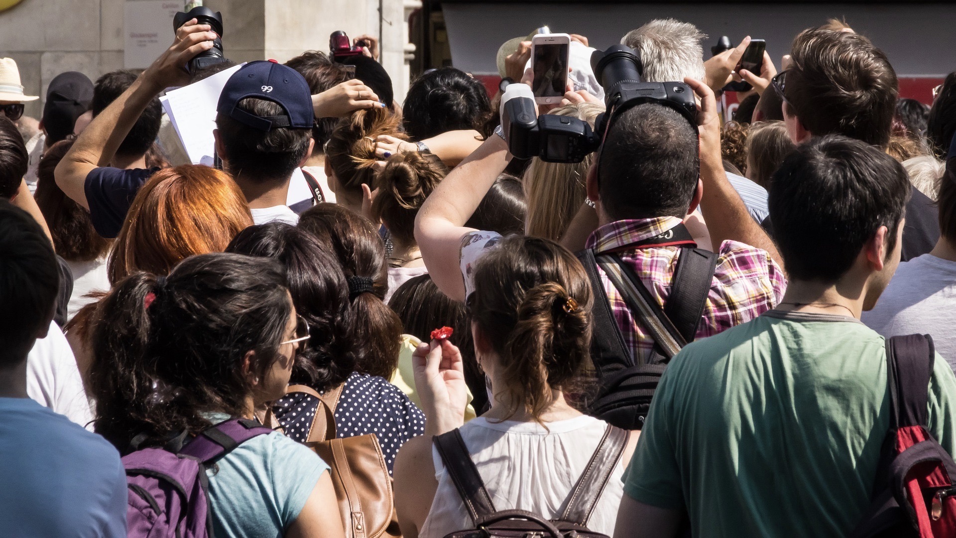 Olbia, il grido d'aiuto delle guide turistiche: 